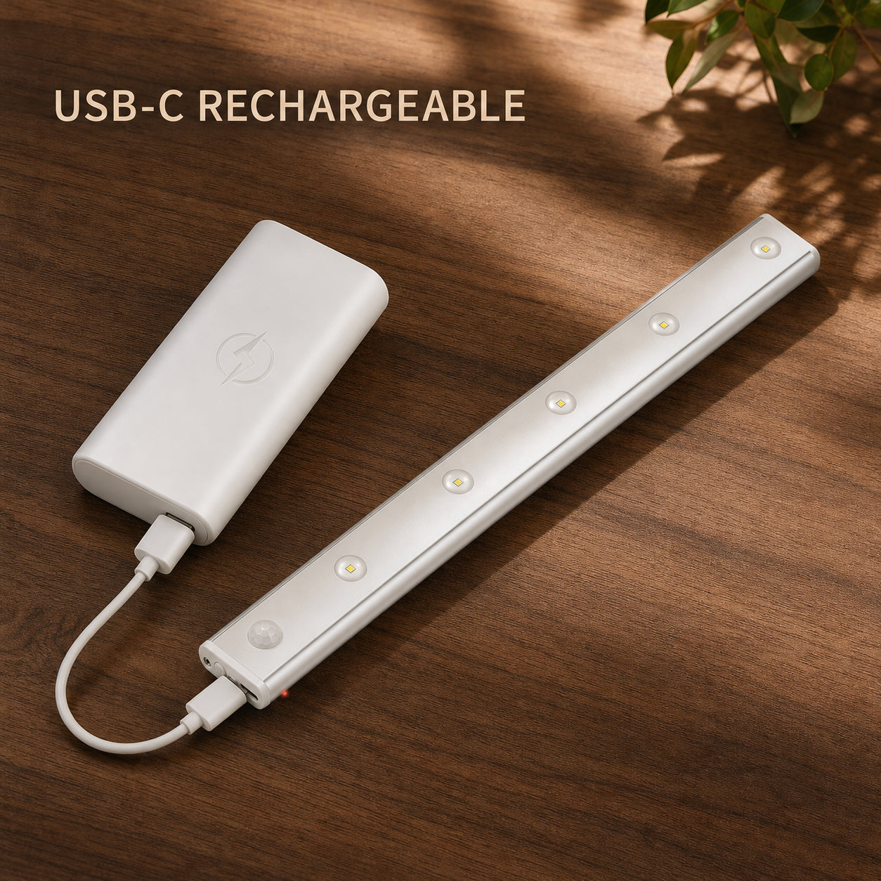 Motion Sensor LED Light